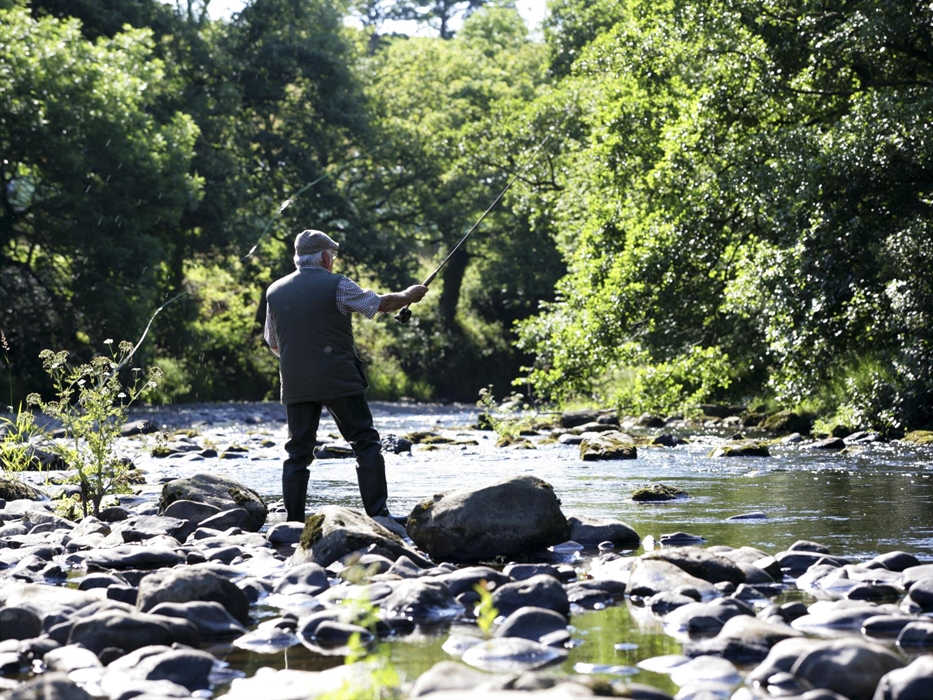 River Banwy at Dolgead Hall