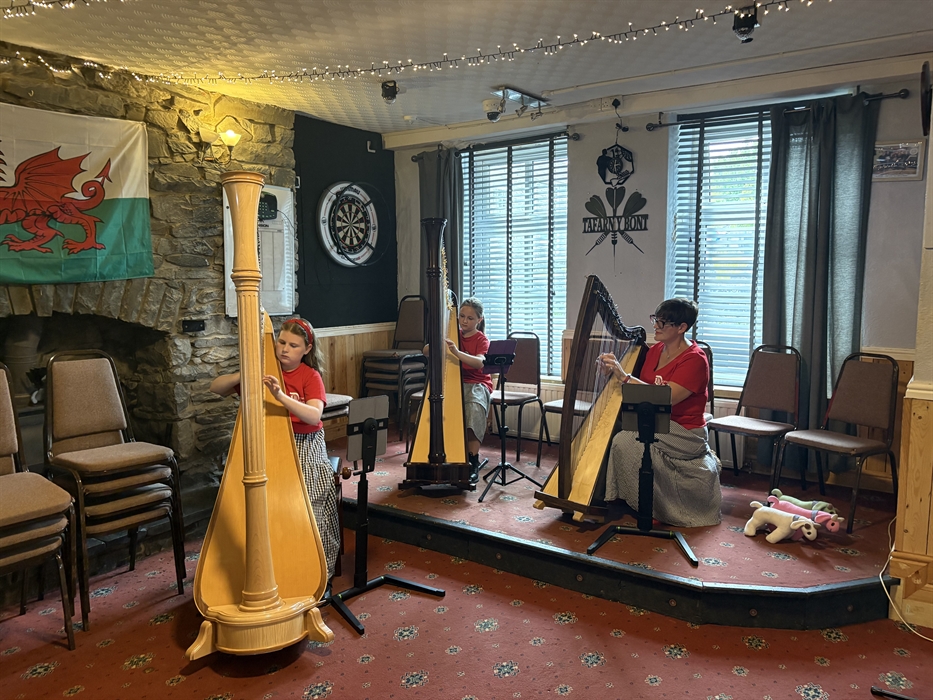 Gŵyl Werin y Bont - Telynau Cambrian
