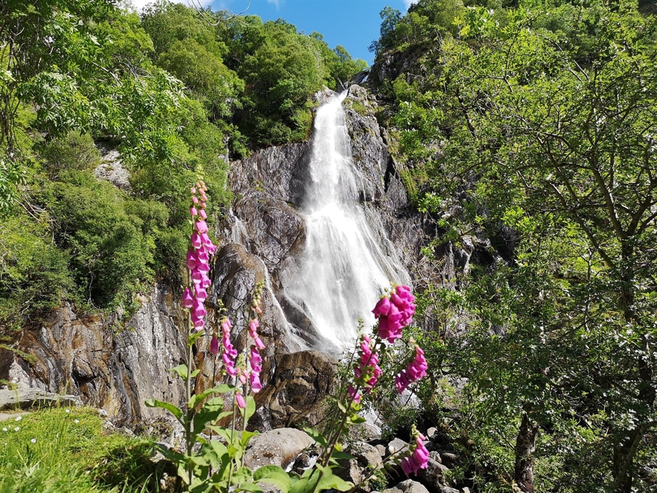 Rhaeadr Fawr waterfall (Aber Falls), Coedydd Aber National Nature Reserve