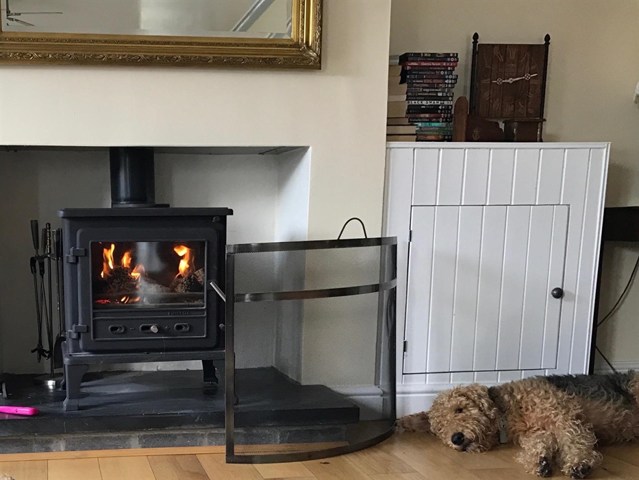 Dogs after a log day at the beach in Autumn