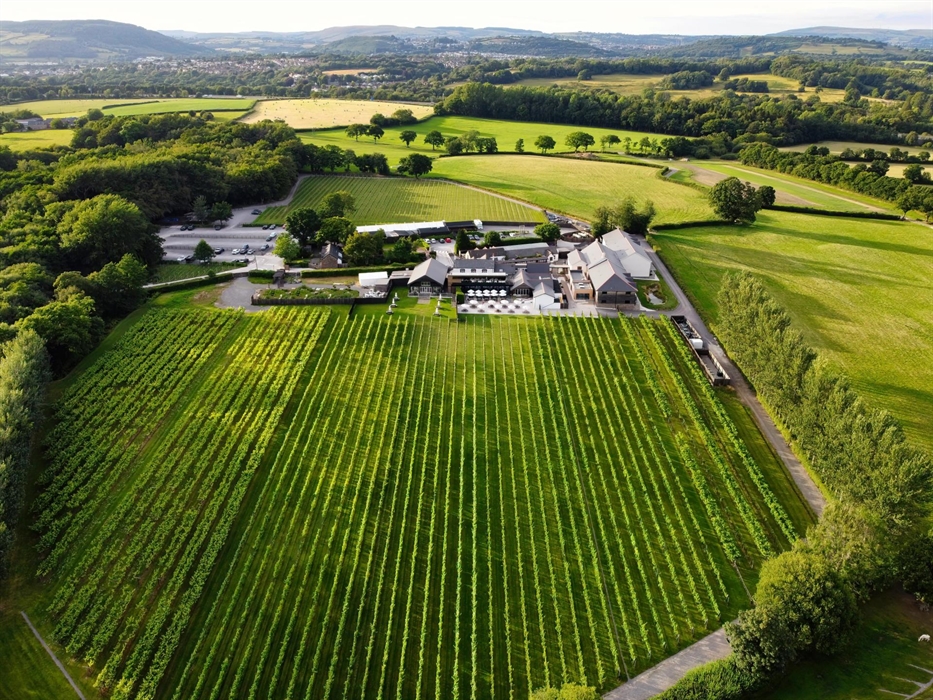 Llanerch Vineyard From Above