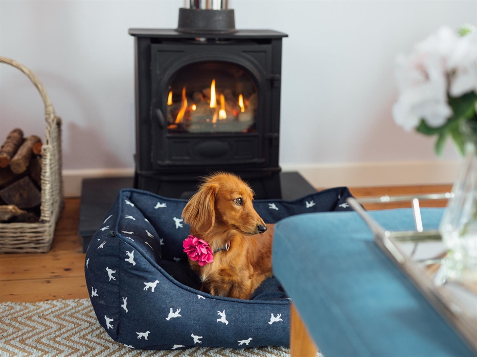 The Shores Apartments