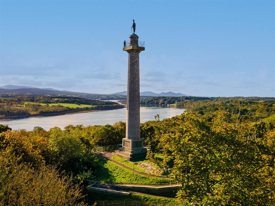 The Anglesey Column standing tall against a blue sky, surrounded by greenery