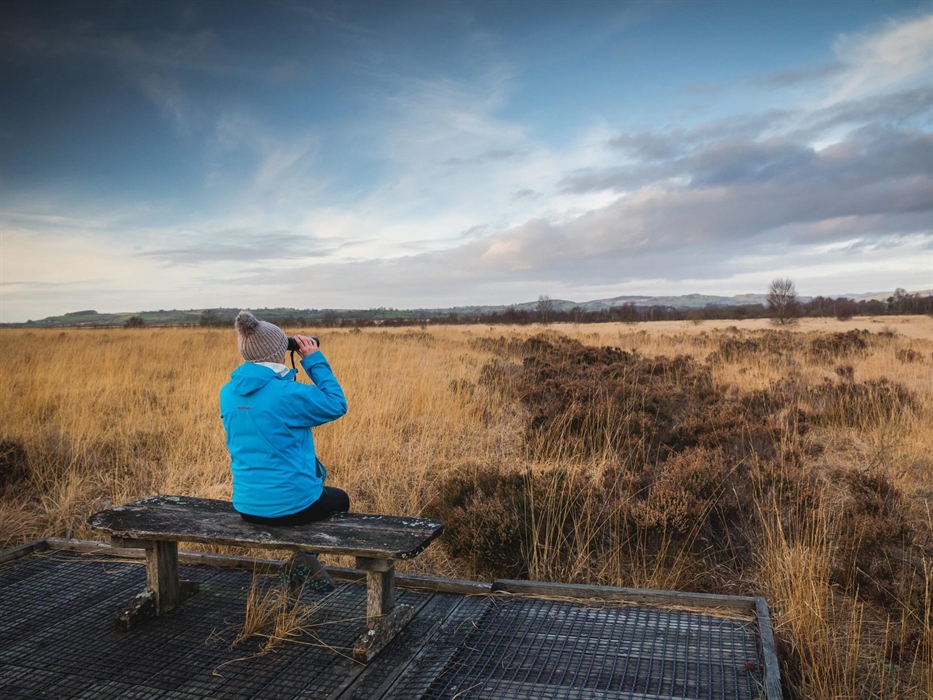 Benches along the boardwalk to enjoy the views
