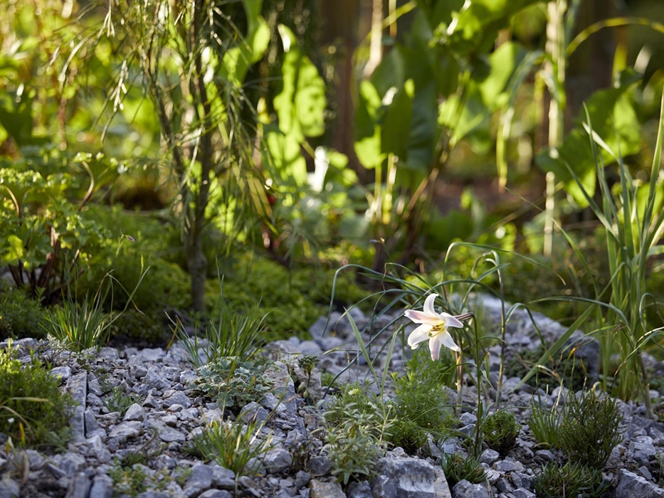 Treborth Botanic Garden