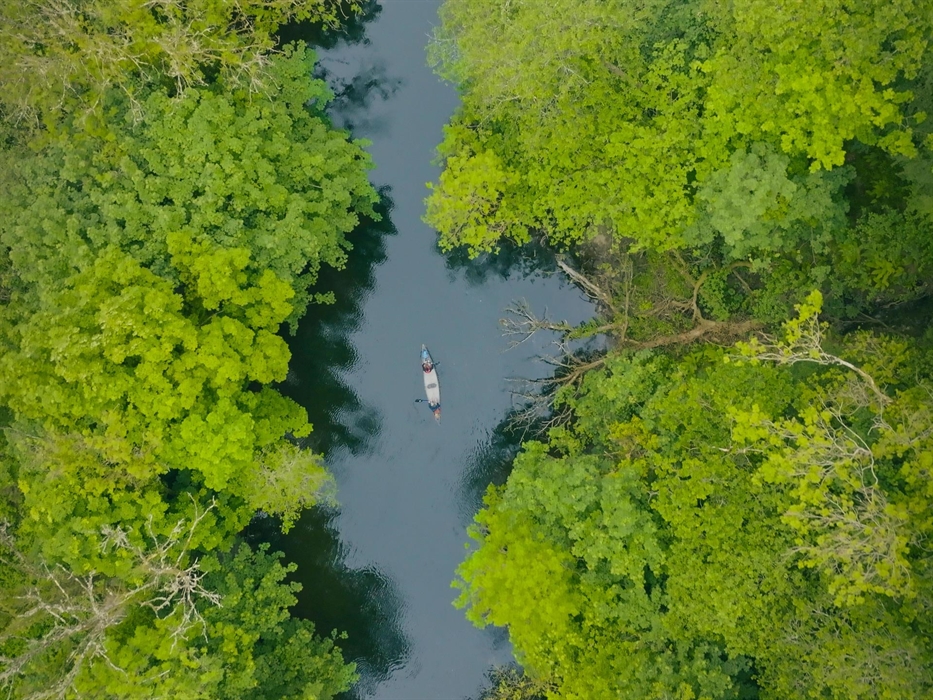Canoe trips down the Teifi Gorge to Cardigan town.