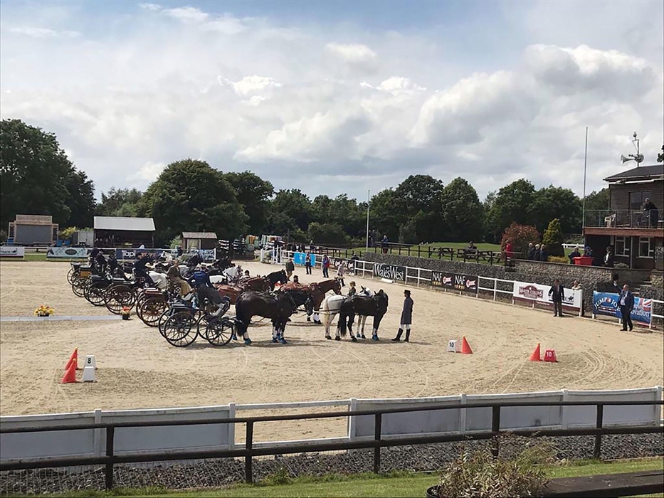 Carriages lining up for their Rosettes