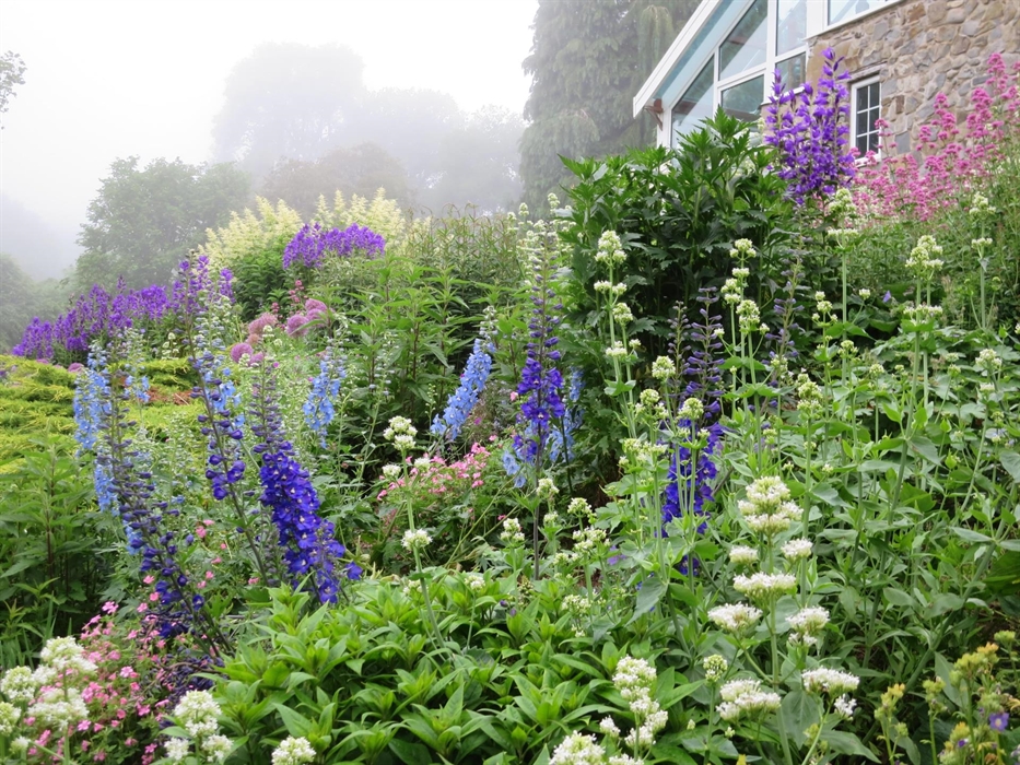 Blue and White Border