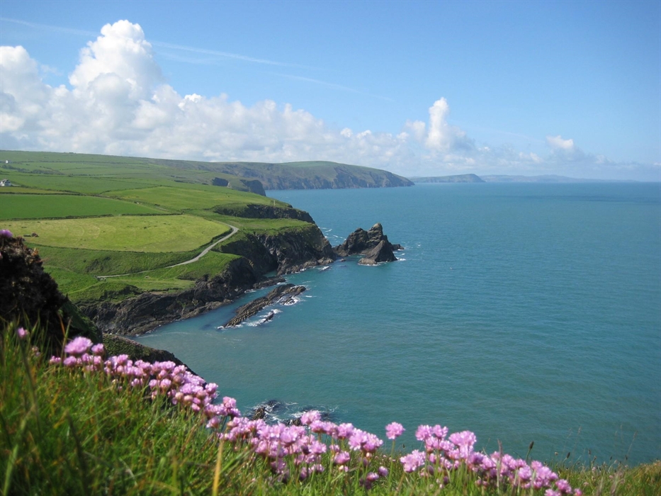 Image Credit: Dragon Trails