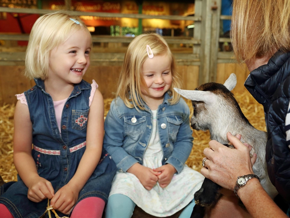 Meet and Greet in the Jolly Barn