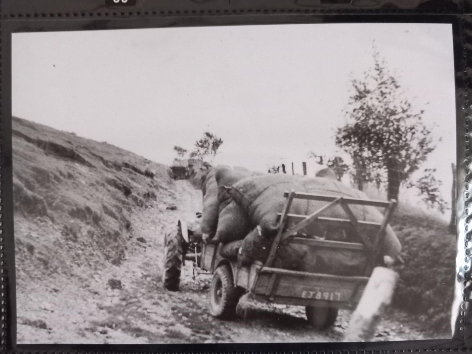 Archif Ffotograffiaeth Mynydd Tywi. Photographic Archive Tywi Mountain