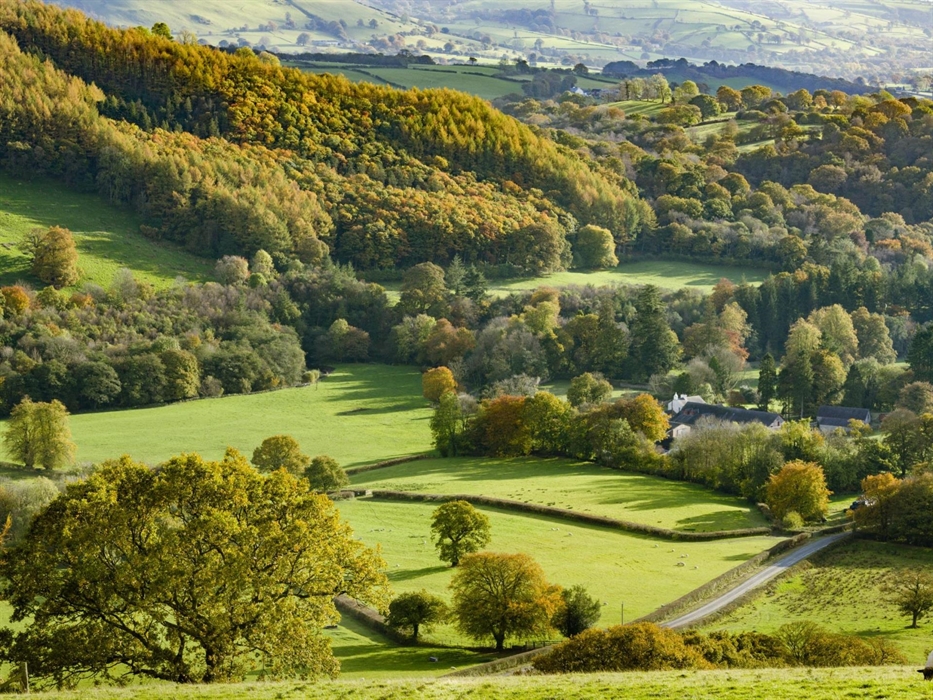 Extensive views of open countryside on the Dolaucothi Estate