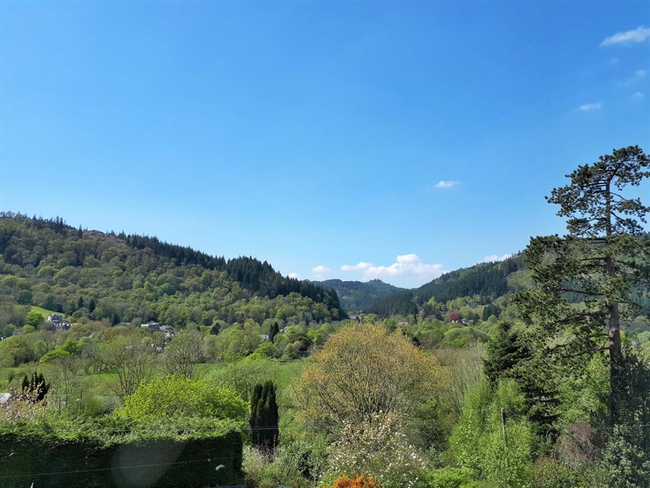 Room 5 - View from room