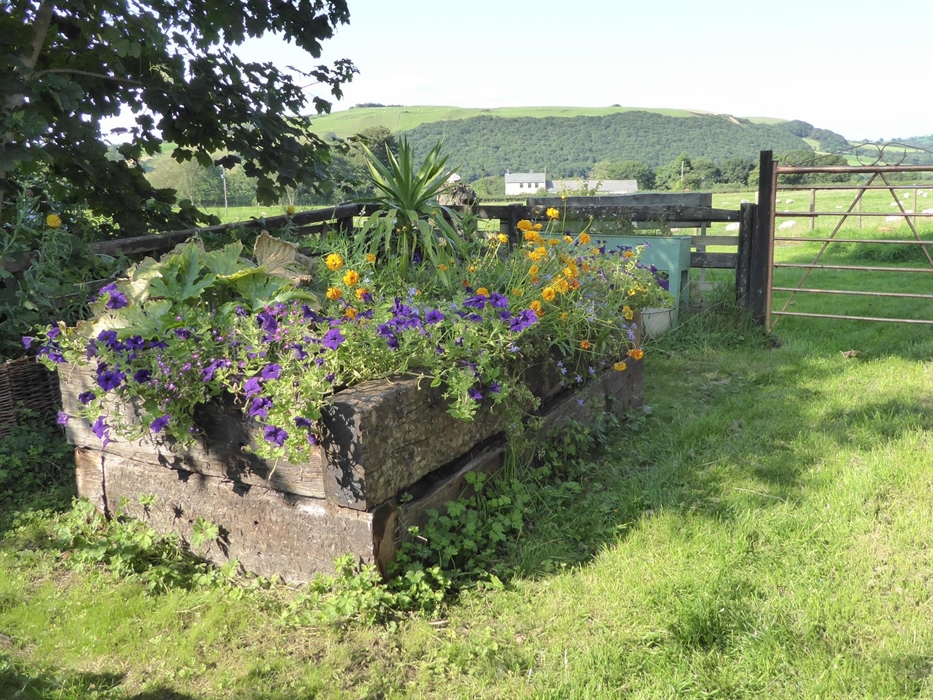 Raised flower below with orange and violet flowers