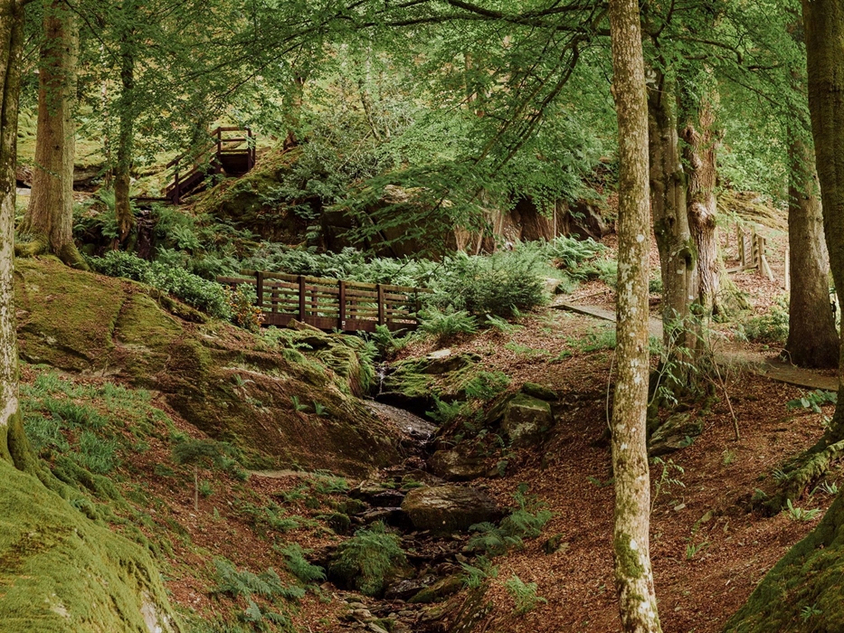 We are blessed at The Dreaming with a number of enchanting walks on the land. The Waterfall Trail and The Red Walk to the Seat of the Empress are perf