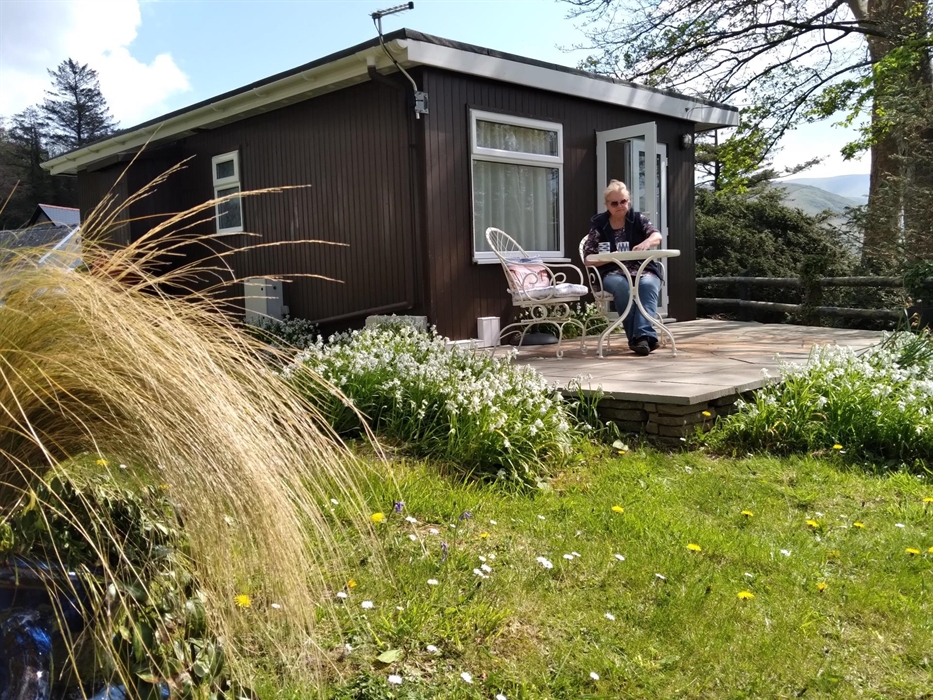 Sea Moss Cabin is set on a hill in woodland, surrounded by flowers and looking down the valley to the sea.