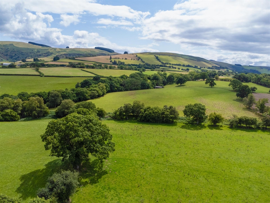 Birds eye view of the neighbourhood