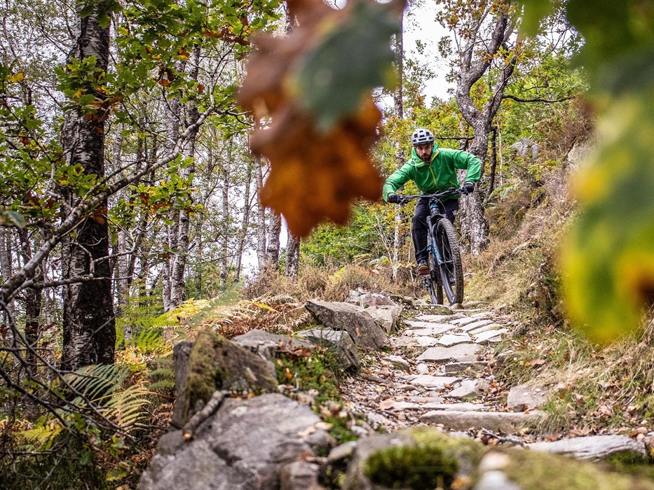 Autumn Coed y Brenin
