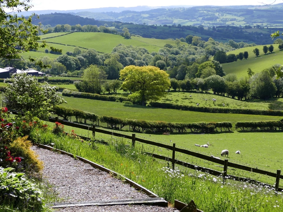 Whether exploring our 1 acre award winning garden, meeting our animals, taking in the amazing views or relaxing in your own private hot tub, Cyﬁe Farm