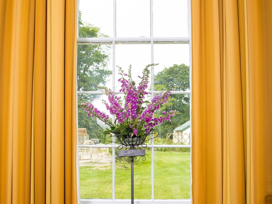 foxgloves in the dining room window