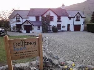 Dolffanog Fawr
