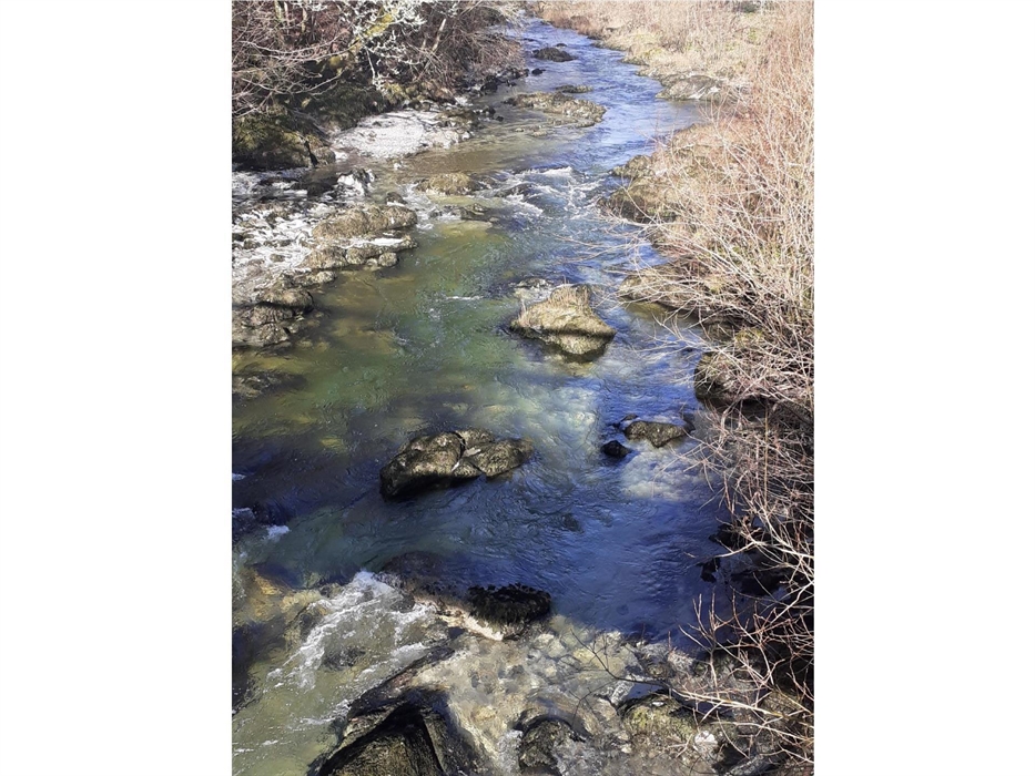 A fun trout river, full of character , dry fly sport can be great fun .... this upper stretch of the Wye holds some good fish too ....