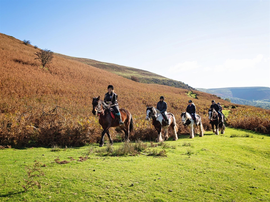 This would be the usual arrangement of a ride at the Grange, with a trek leader at the front and maybe at the back depending on the size of the group.