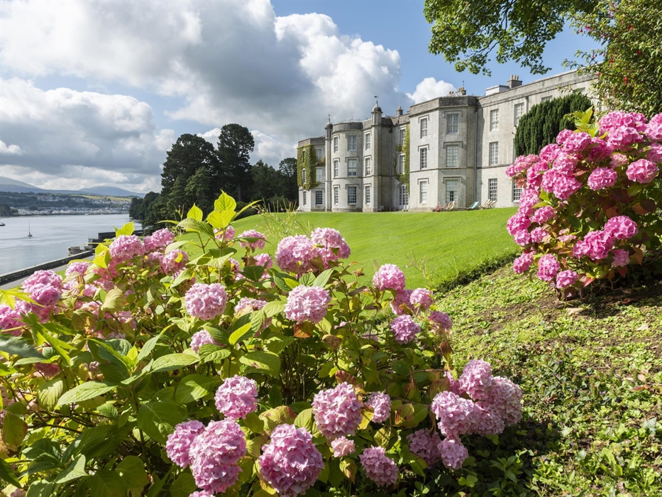 A historic mansion overlooking a river, with pink hydrangea flowers in the foreground and rolling green lawns under a partly cloudy sky.
