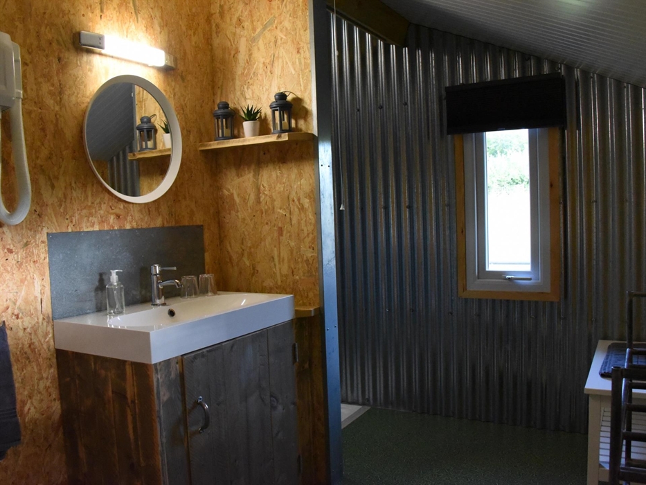 A fully flushing toilet and hot shower with a hairdryer.