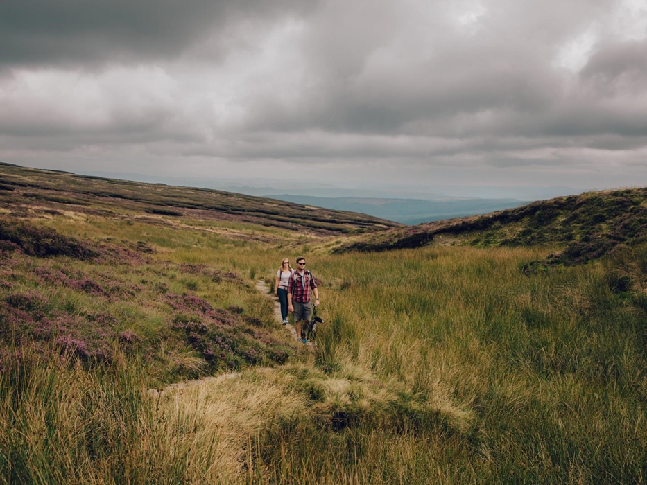 Source of the Severn Trail on Pumlumon