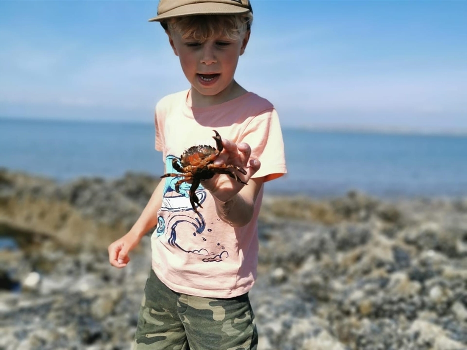 Sometimes its about getting up close and personal to nature to really learn just be careful they might try nipping your fingers!