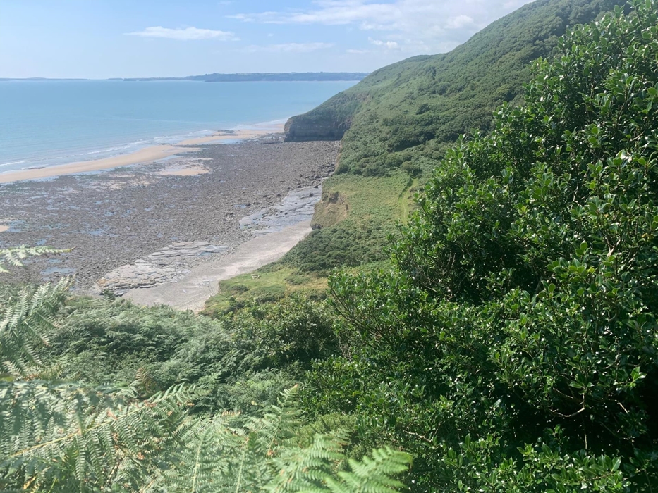 Your own magical walk down to the beach