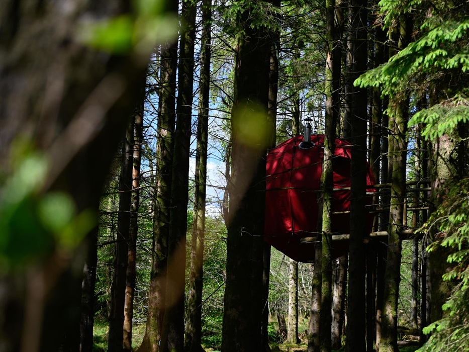Dragon's Egg peeping through the trees...