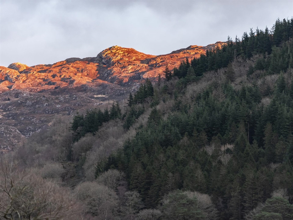 National Trust Images/Paul Harris