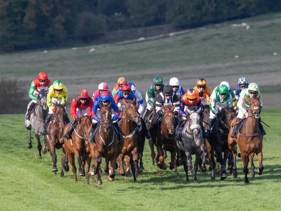 Unibet Jump Season Opener 2024