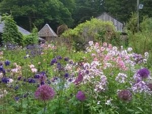 Photo by Caroline Purvis