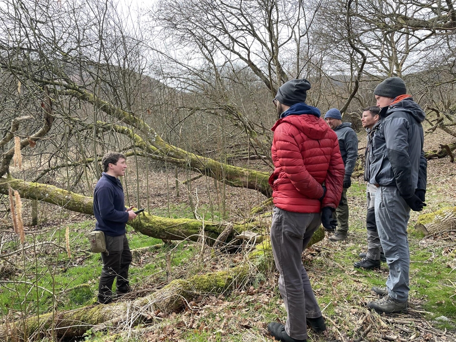 Identifying and using trees