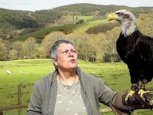 Falconry Experience Wales