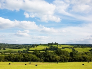 view of the Towy Valley