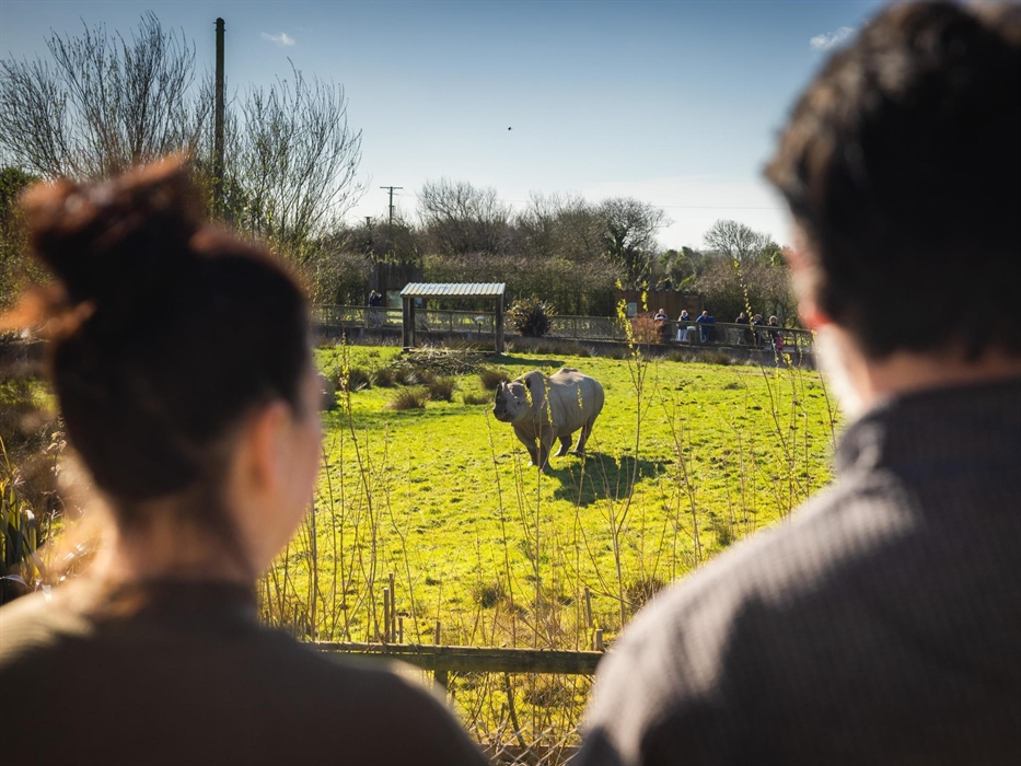Couple on balcony overlooking Eastern black rhino