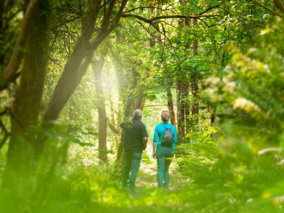With the dappled sunlight this is one of our favourite walks especially in Springtime