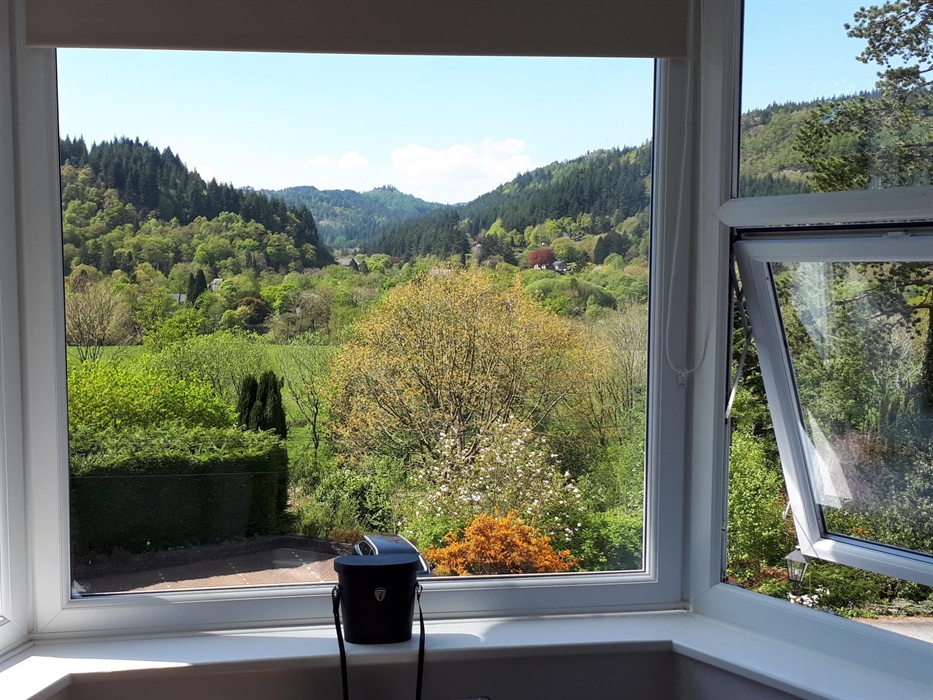 Room 6 - View from room