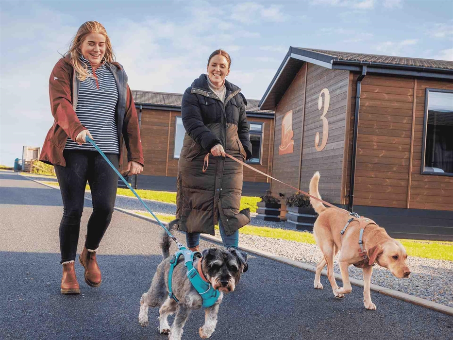 Pet Friendly Holidays