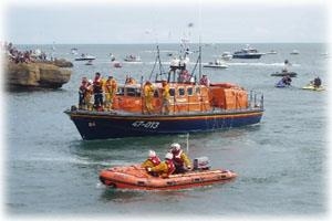Gwylfan Moelfre Seawatch