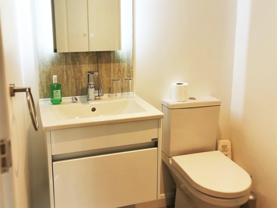 Room 2 - Shower Ensuite