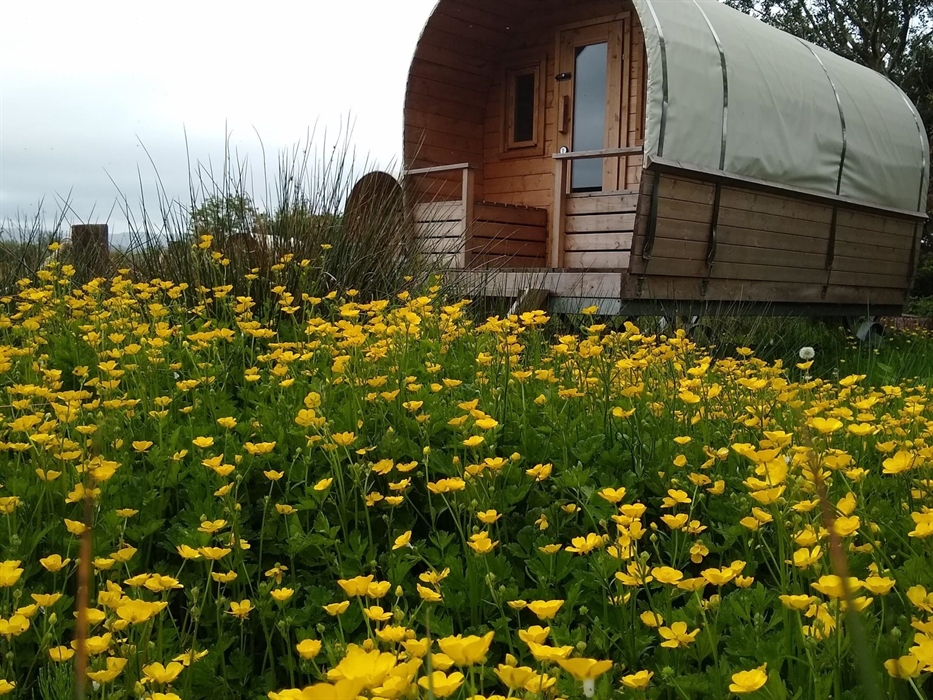 Western Wagon Style Accommodation