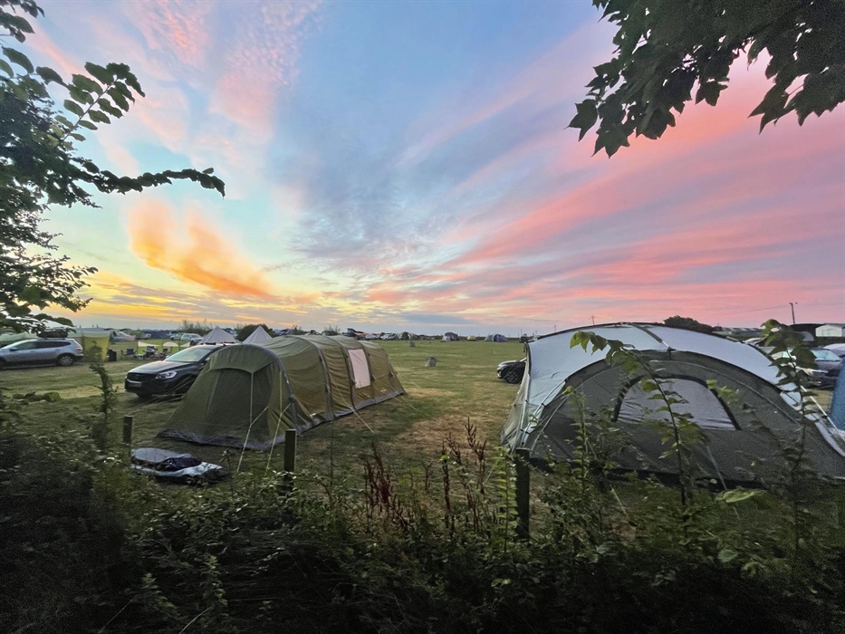 The Summer Camping Field