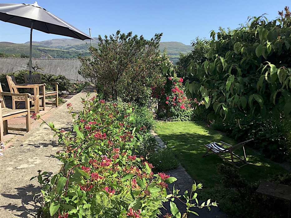 The garden on a summer's day, showing garden seats, a view towards the Rhinog mountains and a deckchair on a small lawn on a lower terrace, with honey