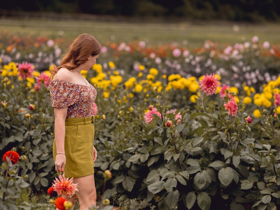 Picking_Dahlias_Cowbridge