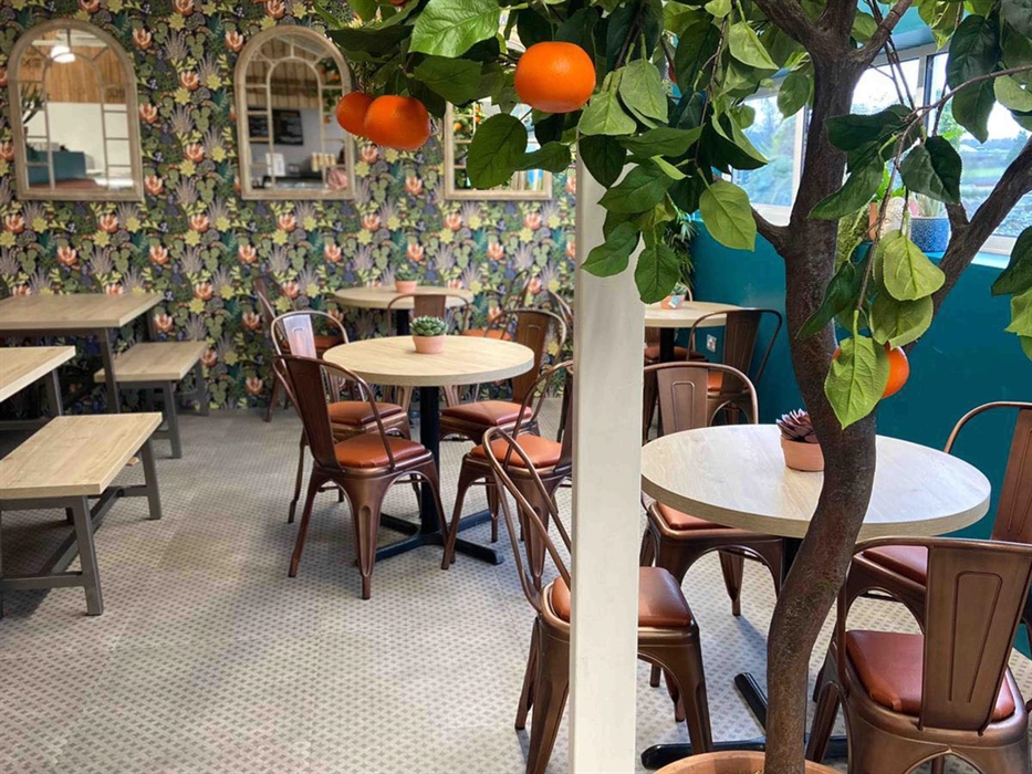 Orange Tree Express Cafe